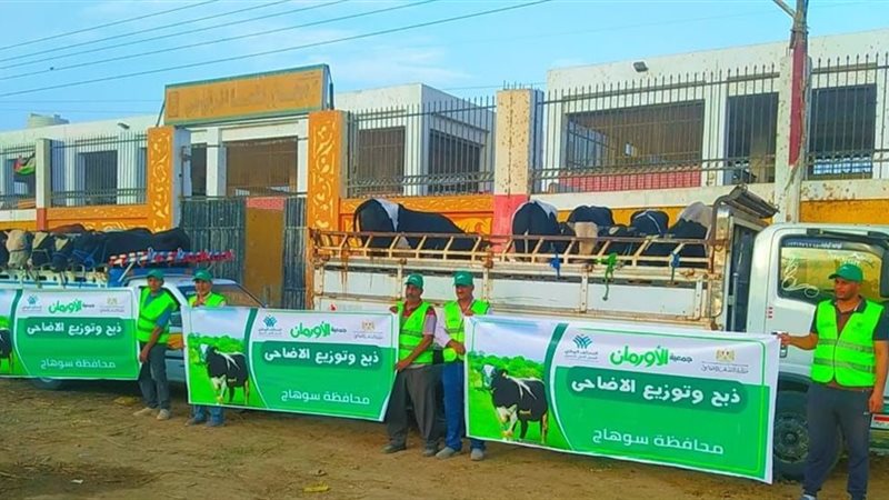 فعاليات الأورمان