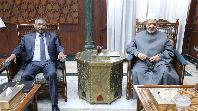 شيخ الأزهر والسفير