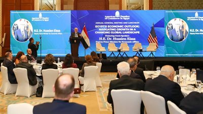 نائب رئيس الوزراء: طرح 16 شركة بالبورصة ضمن خطة إعادة هيكلة الاقتصاد