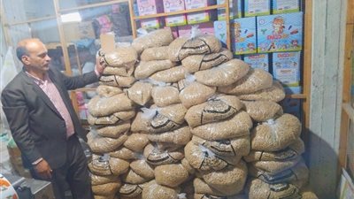 ضبط مصنع 