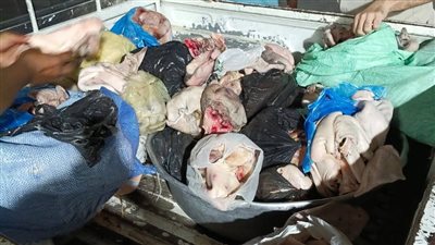 ضبط نصف طن لحوم فاسدة قبل إعادة تدويرها وتوزيعها على المطاعم بالمنوفية