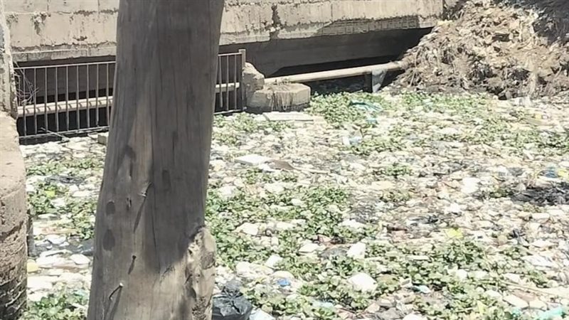 جانب من الترعه