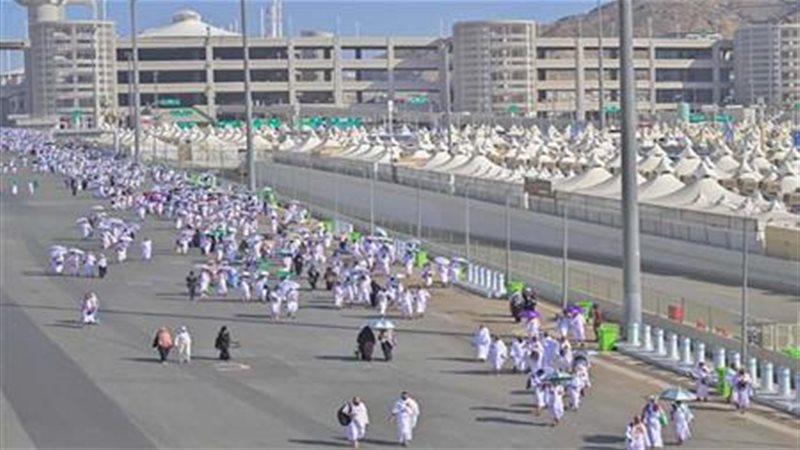 أخبار المشاعر المقدسة