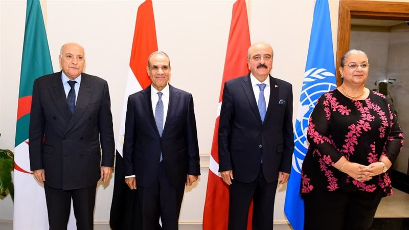 بدر عبد العاطي وزير