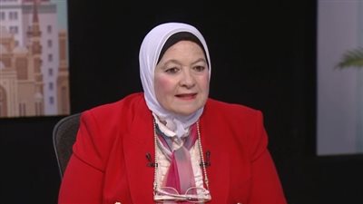 عميد إعلام القاهرة الأسبق: زيارة ماكرون لمصر قدمت نموذجًا ناجحًا للتسويق السياحي