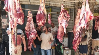 الجيزة: ضبط 6 أطنان هياكل دواجن ومصنعات لحوم فاسدة غير صالحة للاستهلاك الآدمي
