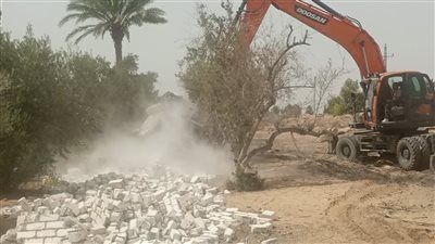 تنفيذ إزالة ٢٠ حالة تعدٍّ على مساحة فدان ضمن الموجة 29