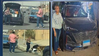 للرفق بالحيوان.. الداخلية تكشف تفاصيل إطعام سيدة لكلاب ضالة في القاهرة