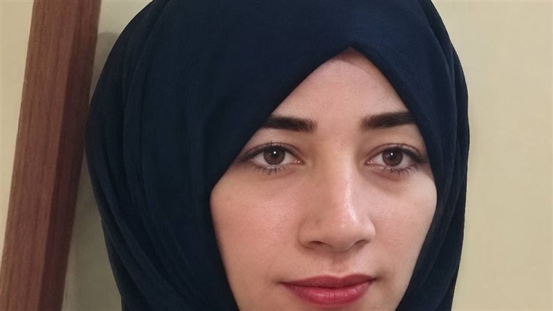 السيدة المختفية 