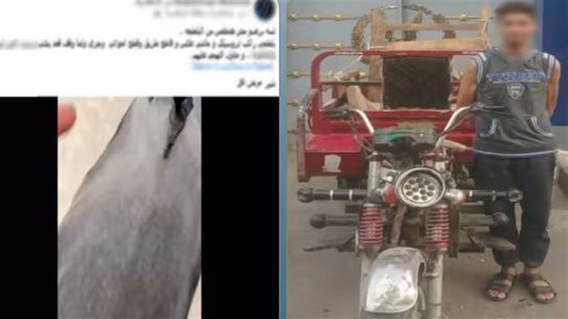 المتهم