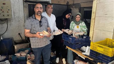 ضبط أكثر من طن لحوم ودواجن غير صالحة للاستهلاك الآدمي في حملة رقابية بالسويس