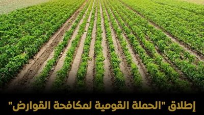 وزارة الزراعة تطلق حملة موسعة لمكافحة القوارض لحماية المحاصيل والأمن الغذائي