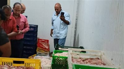 ضبط طن شيش دجاج وطن دهون حيوانية غير صالحة داخل ثلاجة غير مرخصة بشبرا الخيمة