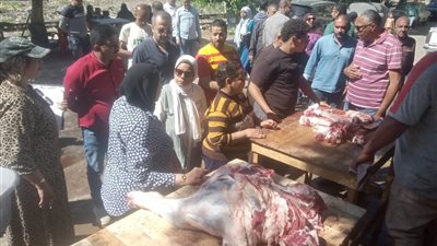 إعدام 176 كجم أغذية غير صالحة وتحصيل 714 ألف جنيه غرامات في الإسكندرية
