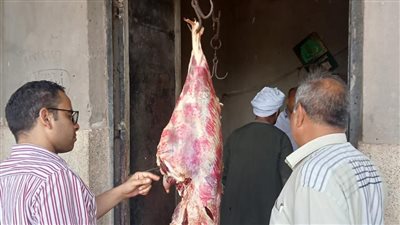 محافظ أسيوط: ضبط 351 مخالفة تموينية بينها 93 كجم لحوم فاسدة