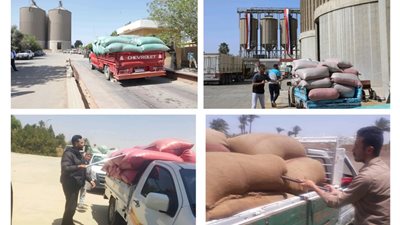 وكيل تموين بنى سويف: إيقاف توريد القمح بالصوامع والشون أول أيام عيد الأضحى فقط