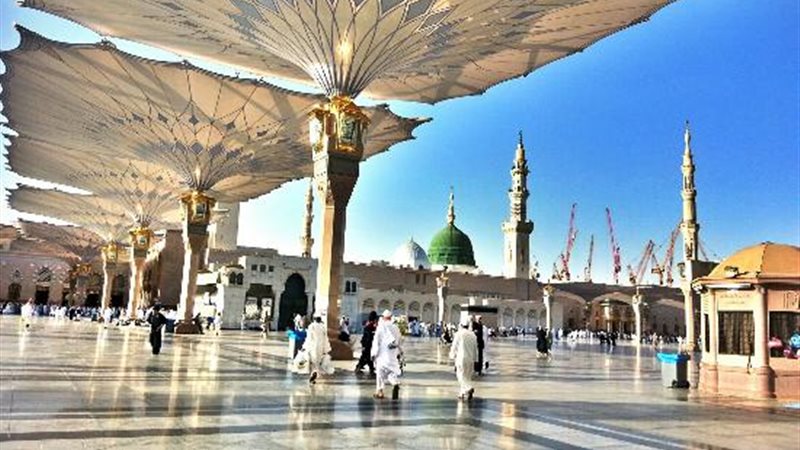 المدينة المنورة