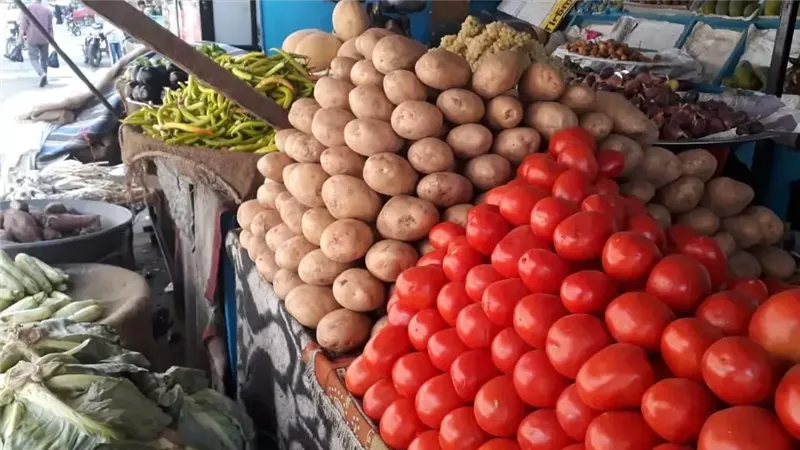 أسعار الطماطم