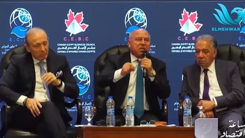 كامل الوزير