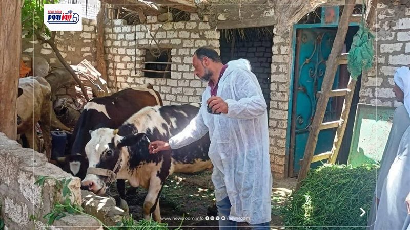 حملات بيطرية بالمنيا