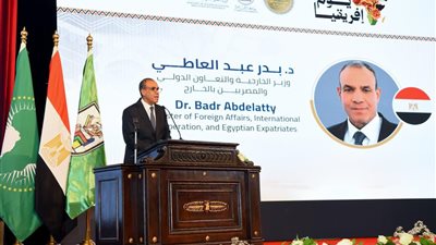 وزارتا الخارجية والتعليم العالي تنظمان احتفالية «يوم أفريقيا» بجامعة القاهرة