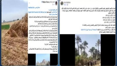 «ميراث وفيديو كاذب».. الأمن يكشف حقيقة الاعتداء بأسلحة بيضاء على مزارعين بالبحيرة