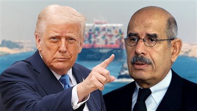البرادعي: ترامب يخطط لضم إيران والعرب لاتفاقيات أبراهام.. وأين فلسطين من الحسابات