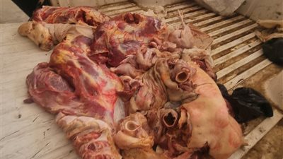 ضبط 594 كيلو لحوم بأختام مزورة بمراكز أخميم وطهطا وسوهاج