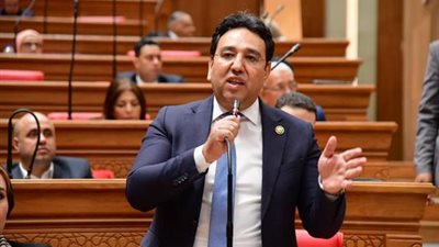 أيمن محسب: تحركات السيسي الإقليمية تحاصر التصعيد وتحمي الاقتصاد العالمي