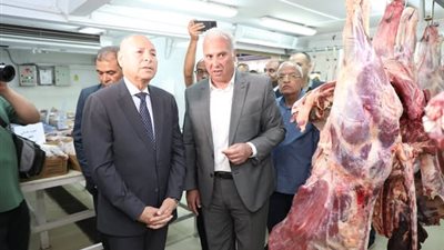 محافظ القاهرة يتفقد منافذ بيع اللحوم والدواجن استعدادًا لعيد الأضحى