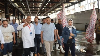 محافظ القليوبية يتفقد مجازر الخانكة والقلج للوقوف على استعدادات استقبال العيد