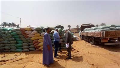 محافظ أسيوط: توريد 191 ألفًا و459 طن قمح محلي منذ بدء الموسم والانتهاء من حصاد