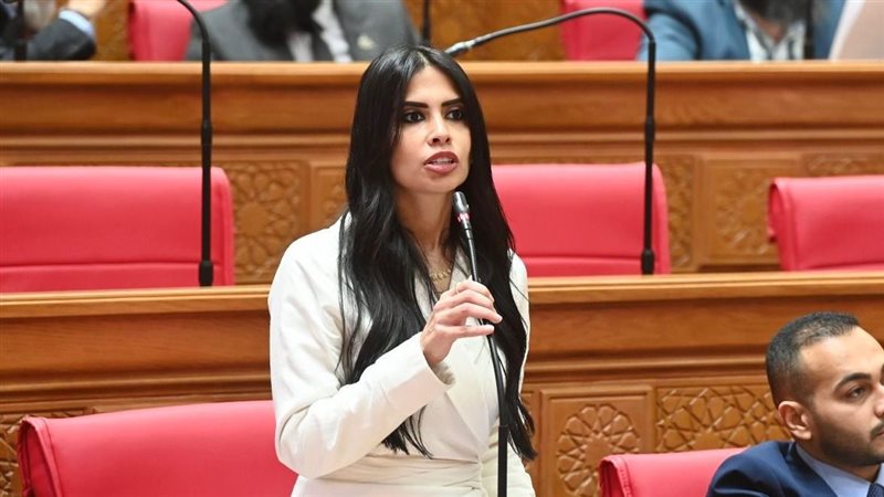 هايدي المغازي 