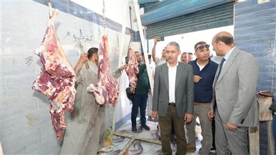 استعدادًا لعيد الأضحى المبارك.. محافظ أسيوط يتابع توافر اللحوم ويتفقد منفذ الث