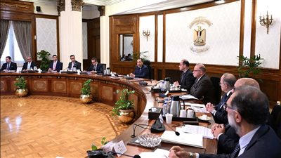 رئيس الوزراء يستعرض خطوات إعداد استراتيجية وطنية لتنظيم إنشاء مراكز البيانات