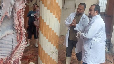 الطب البيطري بدمياط يتابع جاهزية مجازر كفر سعد لاستقبال الأضاحي