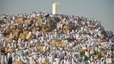 الخدمات الدينية والطبية للحجاج.. منظومة متكاملة لضمان راحة وسلامة ضيوف الرحمن