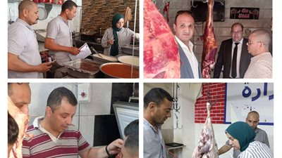 ضبط لحوم غير صالحة بمراكز بنى سويف وناصر والواسطى قبل عيد الأضحى 