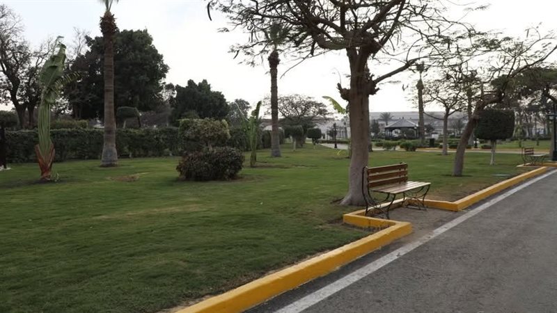 حديقة 