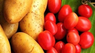 الجزيرة: البطاطا والطماطم تهدد الوعي البشري بتنويم مغناطيسي رقمي