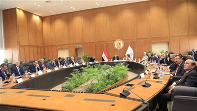 رئيس جامعة الأزهر يستعرض رؤية الجامعة التطويرية أمام الأعلى للجامعات