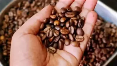 شعبة البن: بنستورد 80 ألف طن سنويا.. ونسبة المغشوش في مصر لا تتعدى 5%