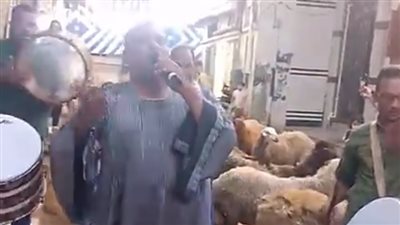 بالمزمار والطبل أهالي دمياط يستقبلون الأضاحي بأجواء من البهجة