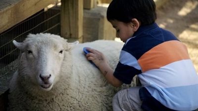حسب عمر كل طفل.. كيف تهيئ طفلك نفسيا لرؤية ذبح الأضحية؟