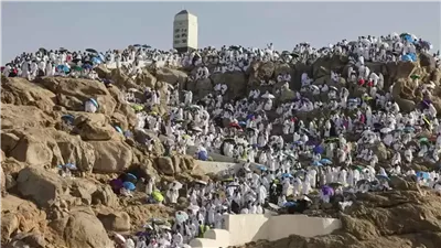 بـ 522 حافلة وتقنية GPS.. تفاصيل تصعيد الحجاج المصريين إلى جبل عرفات اليوم
