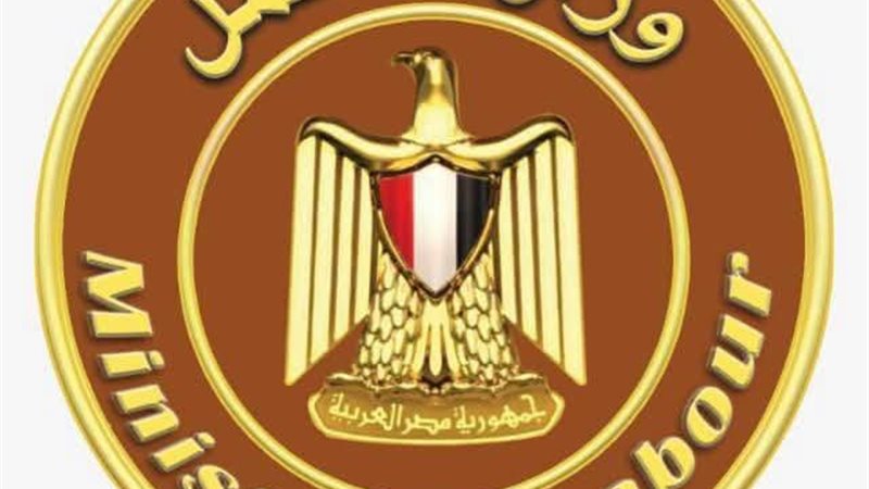 وزارة العمل 