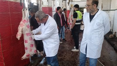 حملات مكثفة بدمياط لمراقبة الأسواق وضمان سلامة اللحوم قبل العيد