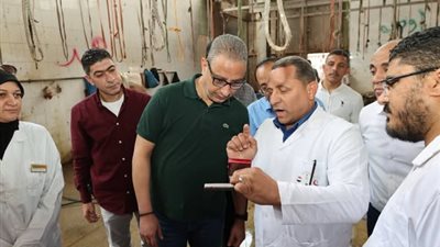 الجيزة تستعد للعيد بـ 23 مجزرًا مجهزًا وفرق بيطرية على مدار الساعة