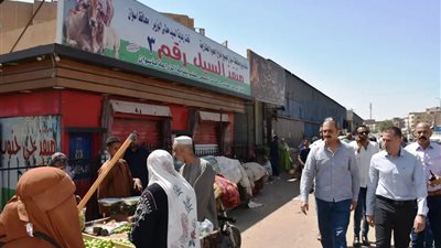 محافظ أسوان يجرى حركة تغييرات محلية محدودة لتعزيز الأداء وتحقيق الانضباط 