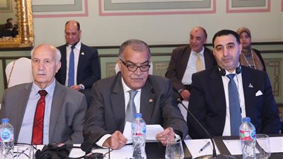 حزب الحرية: مصر والصين تقودان شراكة استراتيجية ترتكز على التنمية والمعرفة